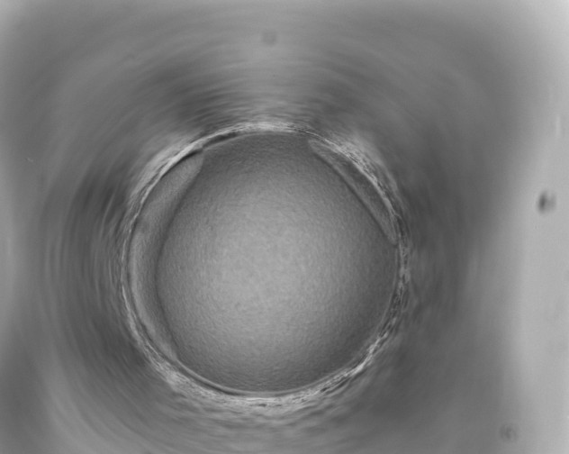 X0000094220001200711021150