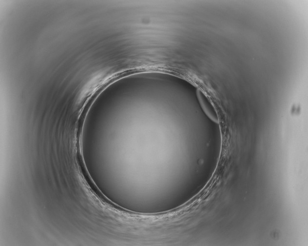 X0000094220002200711021150