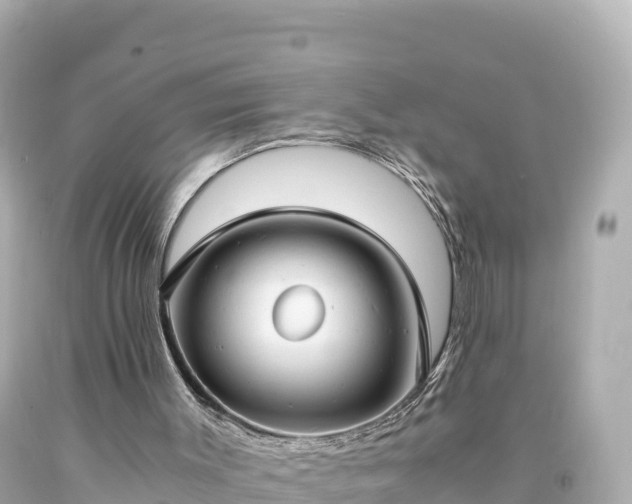 X0000094220003200711021150