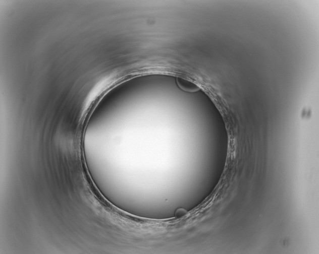 X0000094220004200711021150