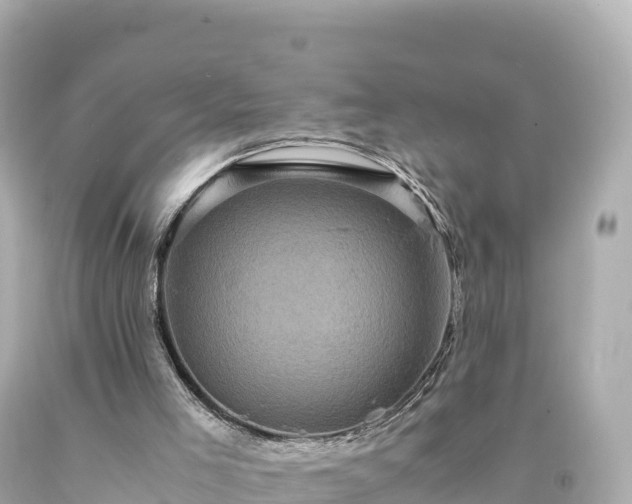 X0000094220005200711021150