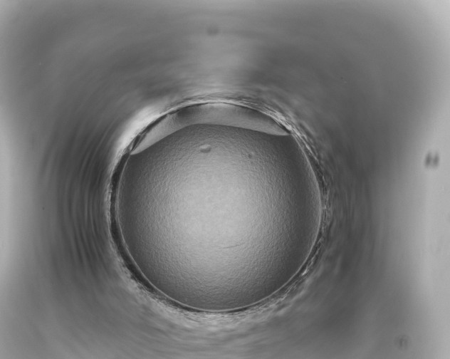 X0000094220006200711021150