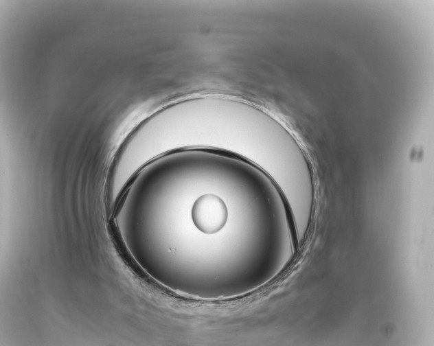 X0000094220007200711021150