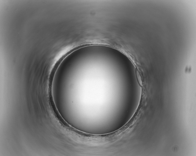 X0000094220008200711021150