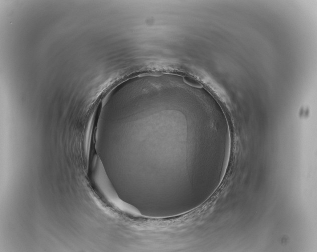 X0000094220009200711021150