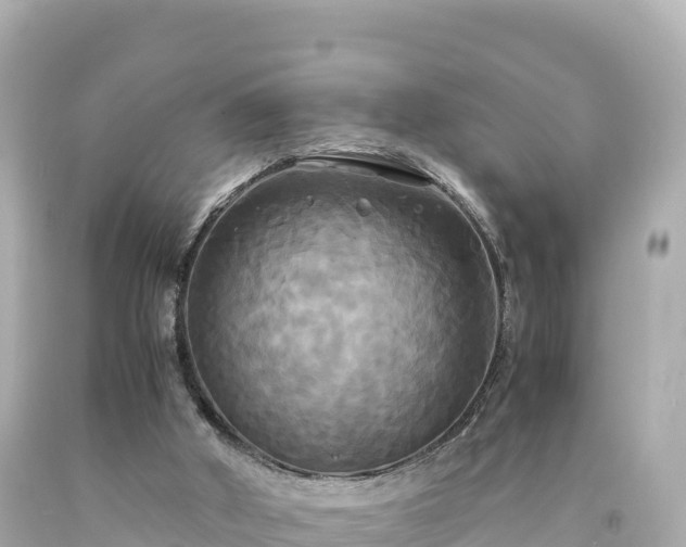 X0000094220010200711021150