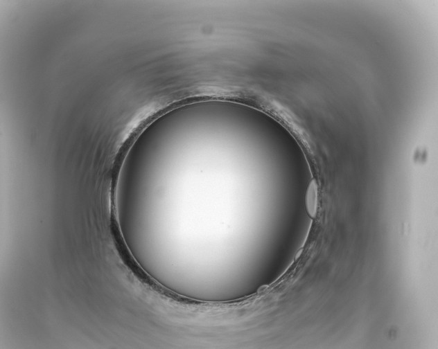 X0000094220011200711021150