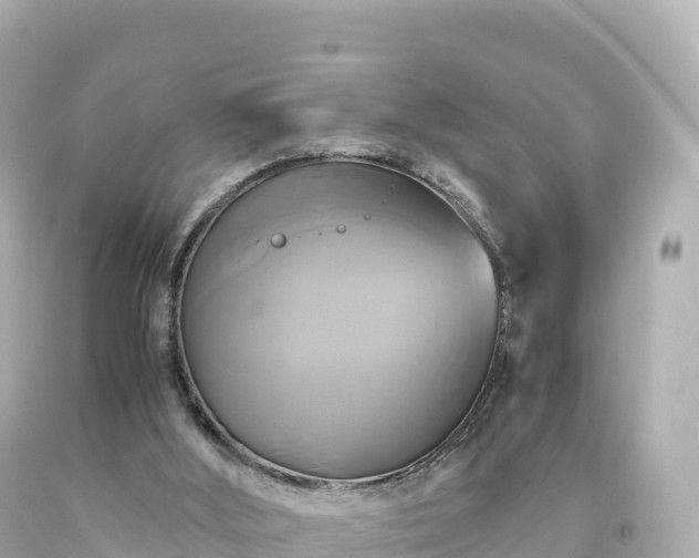 X0000094220012200711021150