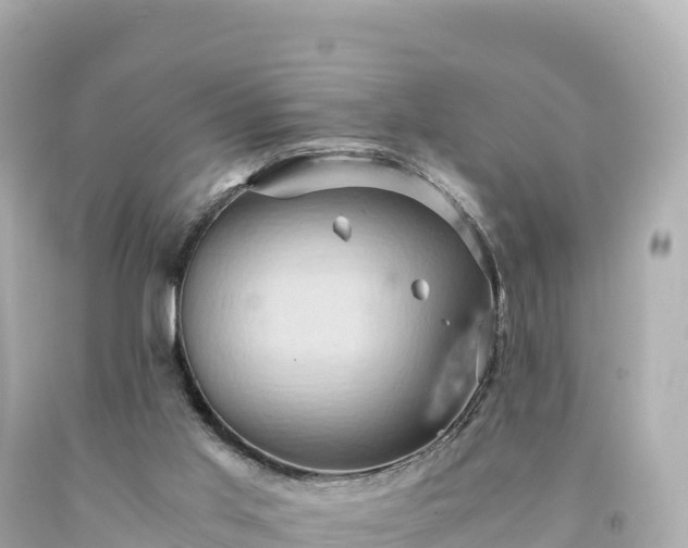 X0000094220013200711021150