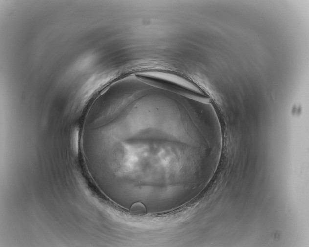 X0000094220014200711021150