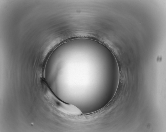 X0000094220015200711021150