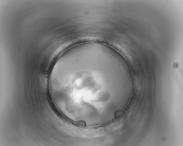 X0000094220016200711021150