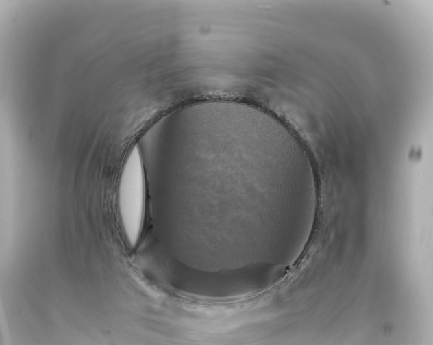 X0000094220017200711021150