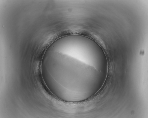 X0000094220018200711021150