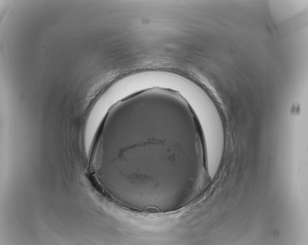 X0000094220019200711021150