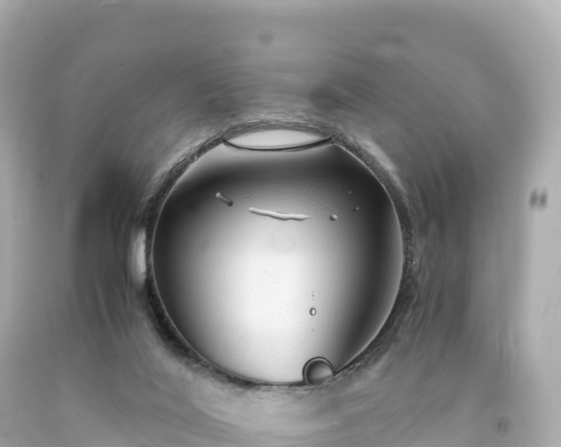 X0000094220020200711021150