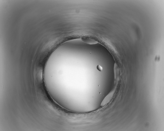 X0000094220021200711021150