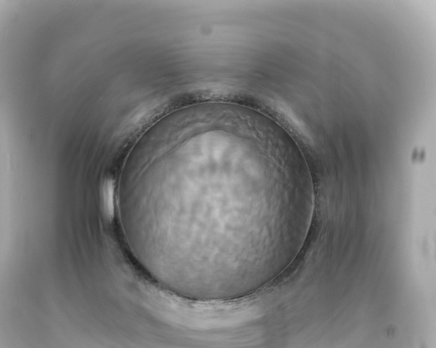 X0000094220022200711021150