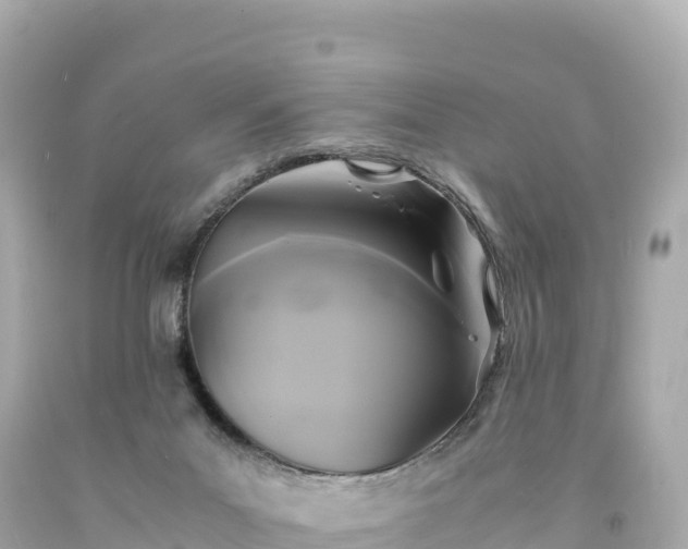 X0000094220023200711021150