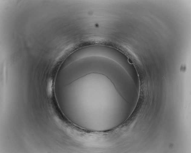 X0000094220024200711021150