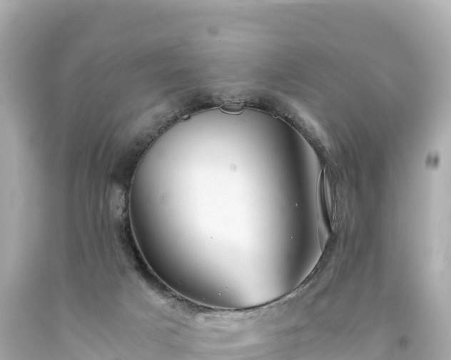 X0000094220025200711021150