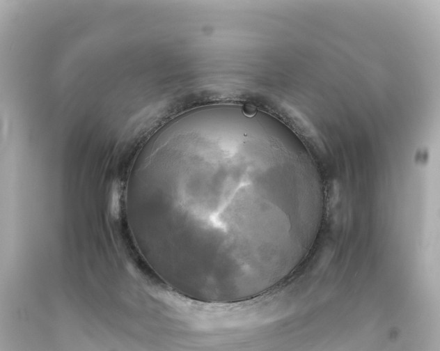 X0000094220026200711021150