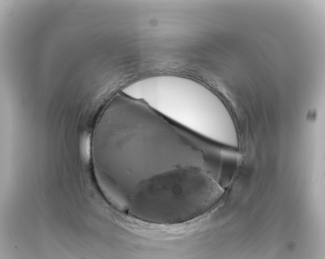 X0000094220027200711021150