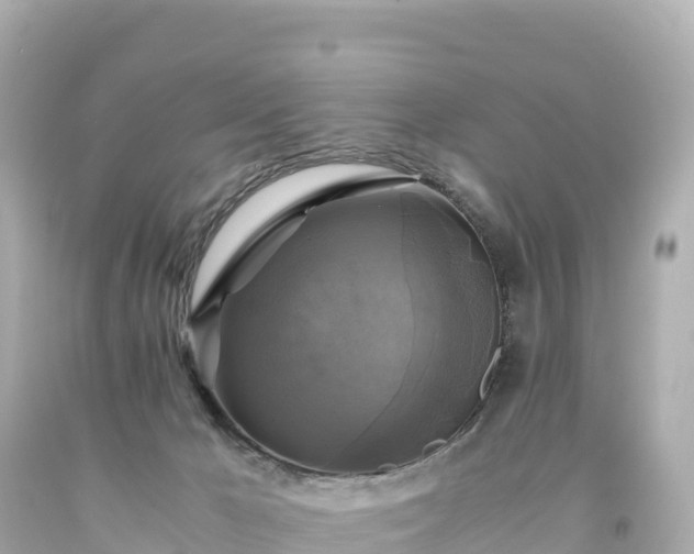 X0000094220029200711021150