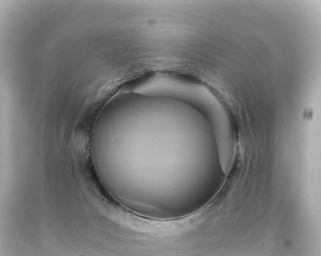 X0000094220031200711021150