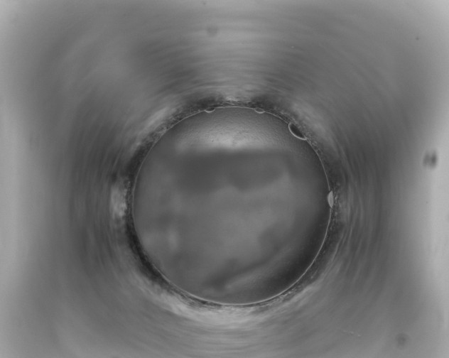 X0000094220032200711021150