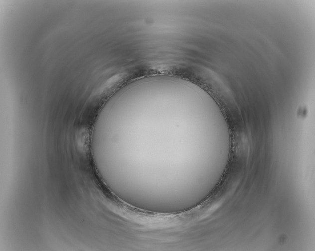 X0000094220036200711021149