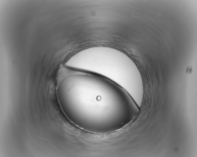 X0000094220037200711021149