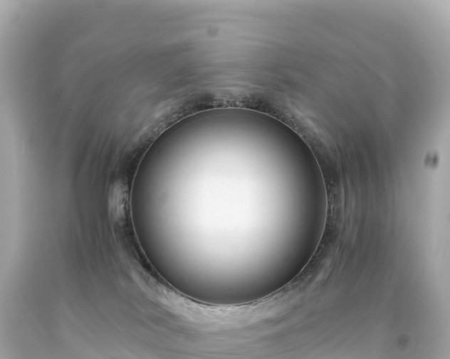 X0000094220038200711021149