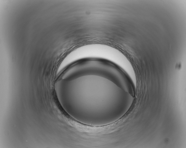 X0000094220039200711021149