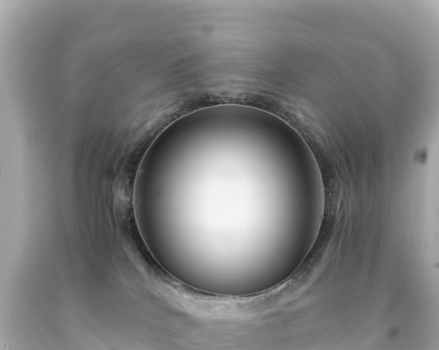 X0000094220040200711021149