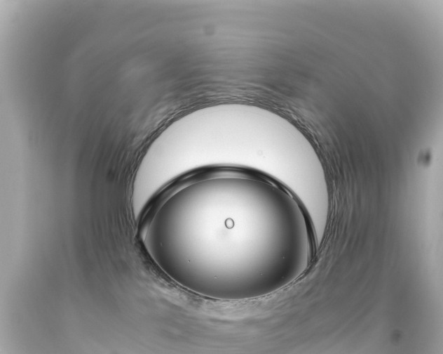 X0000094220041200711021149