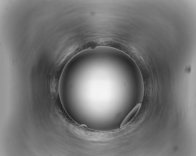 X0000094220044200711021149