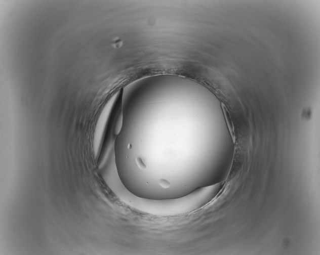 X0000094220045200711021149