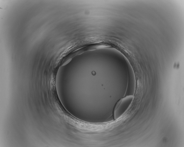 X0000094220048200711021149