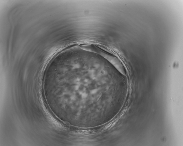 X0000094220049200711021149