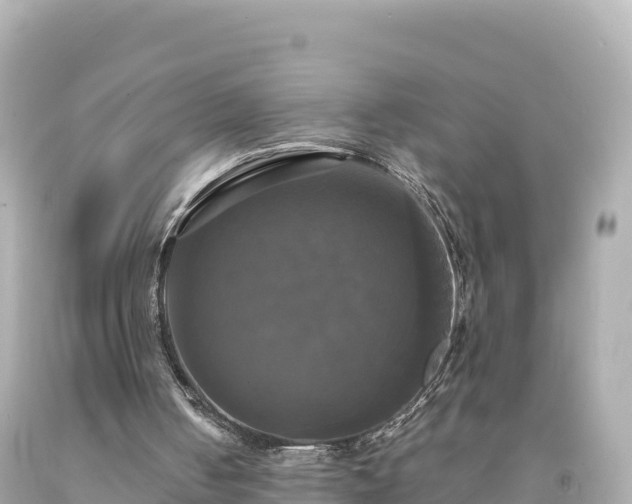 X0000094220050200711021149