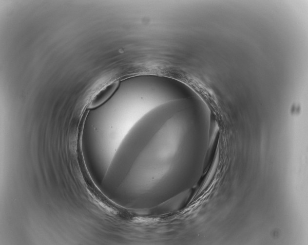 X0000094220051200711021149