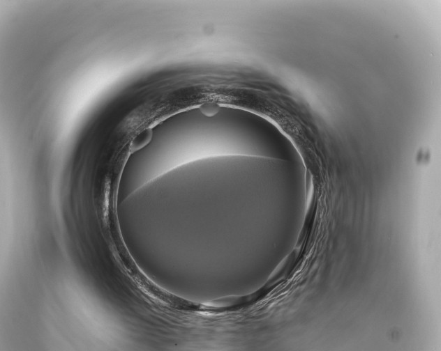 X0000094220052200711021149