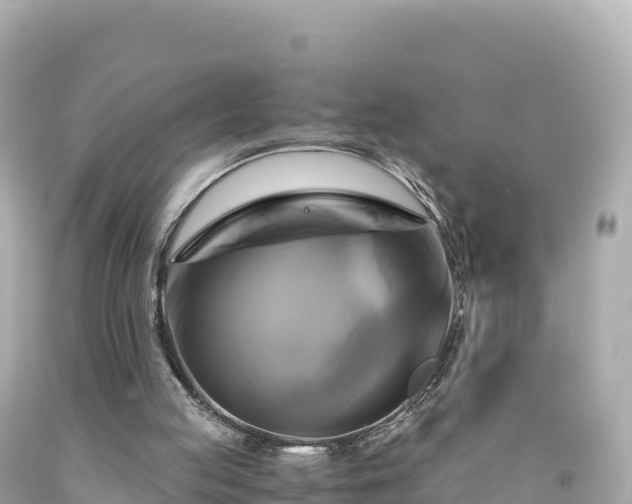 X0000094220053200711021149