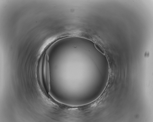 X0000094220054200711021149