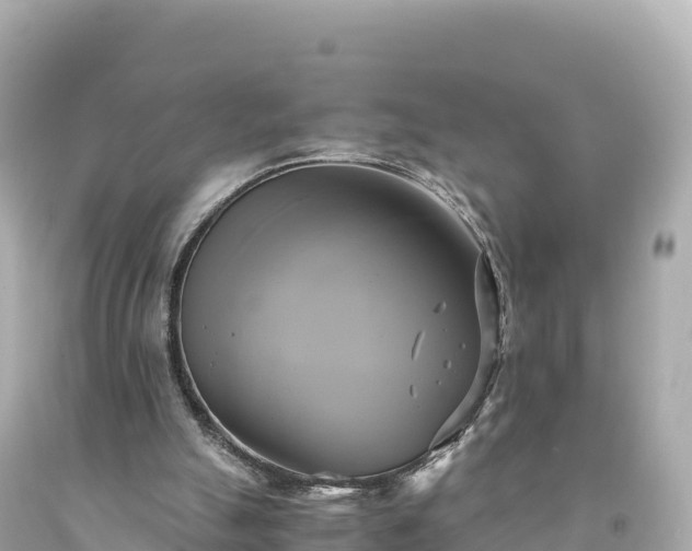 X0000094220055200711021149