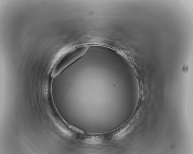 X0000094220056200711021149