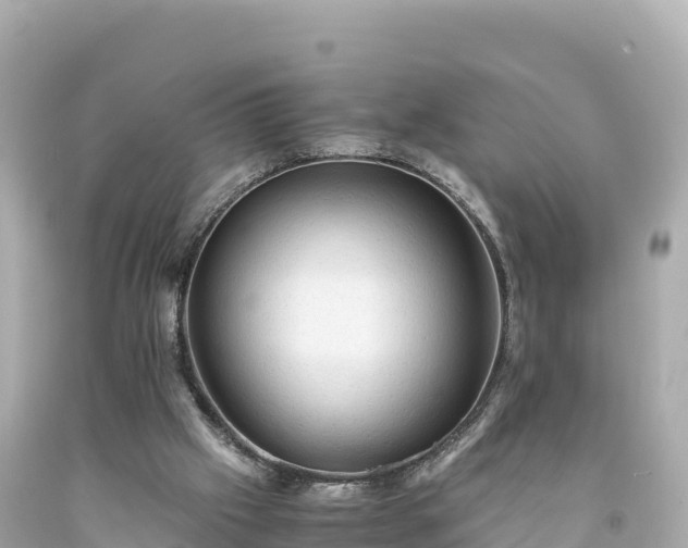 X0000094220057200711021149