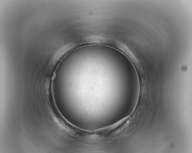 X0000094220058200711021149