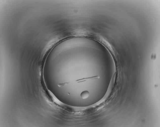 X0000094220059200711021149